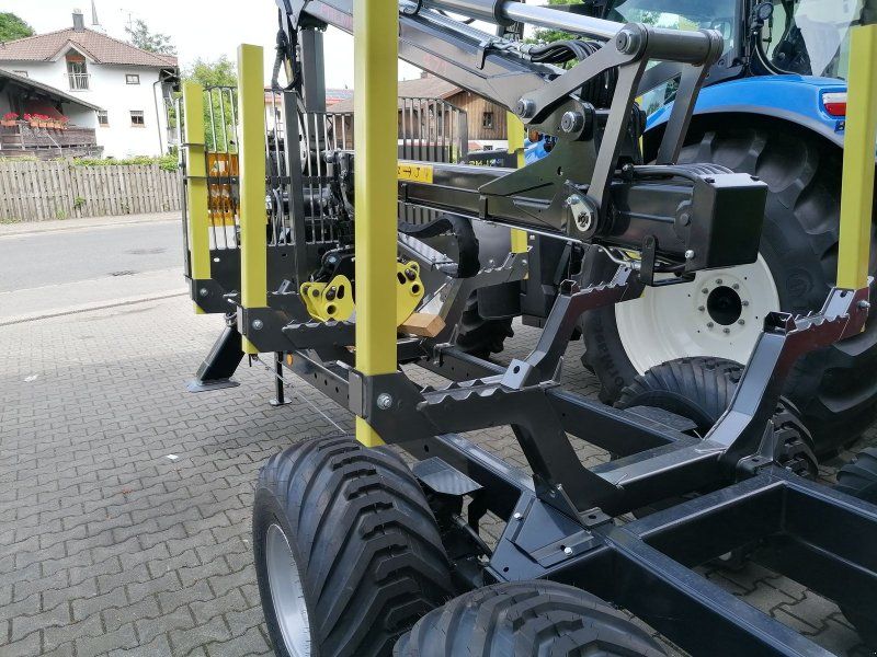 Palms 10,20D, FK 4.71