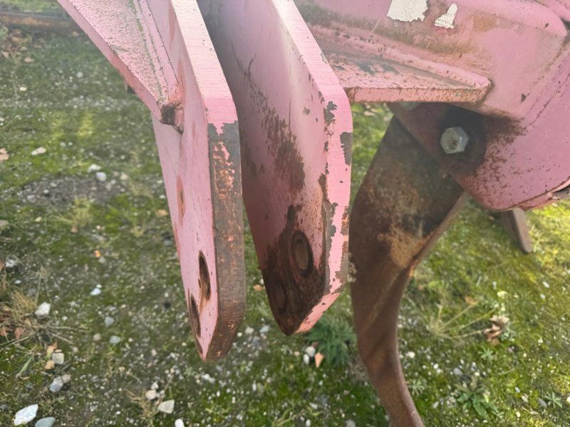 Hatzenbichler 3 Schar