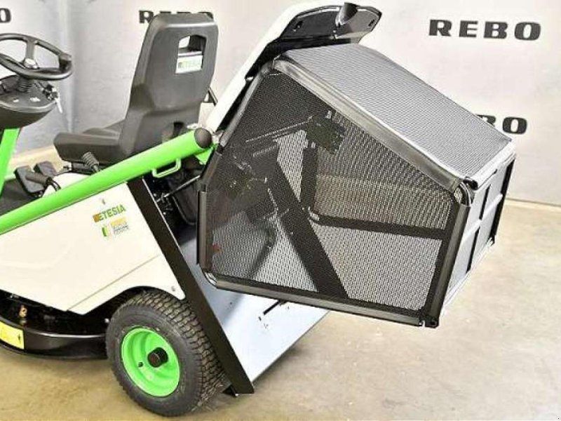 Etesia BAHIA