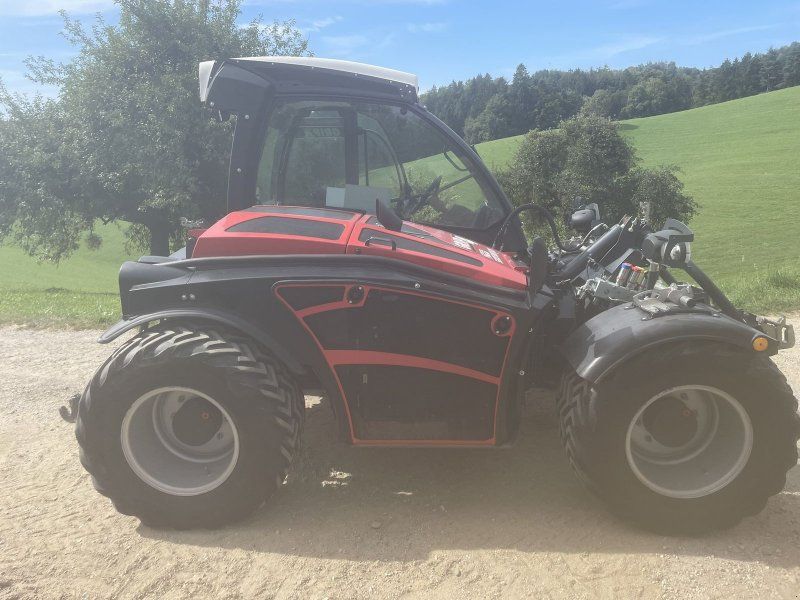 Sauerburger Sonstiges