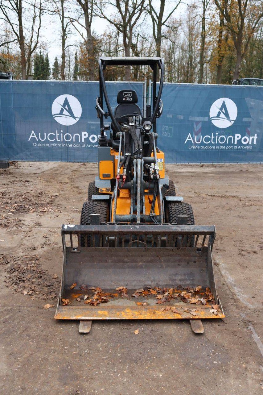 Articulated loader Giant D254SW Diesel 2019