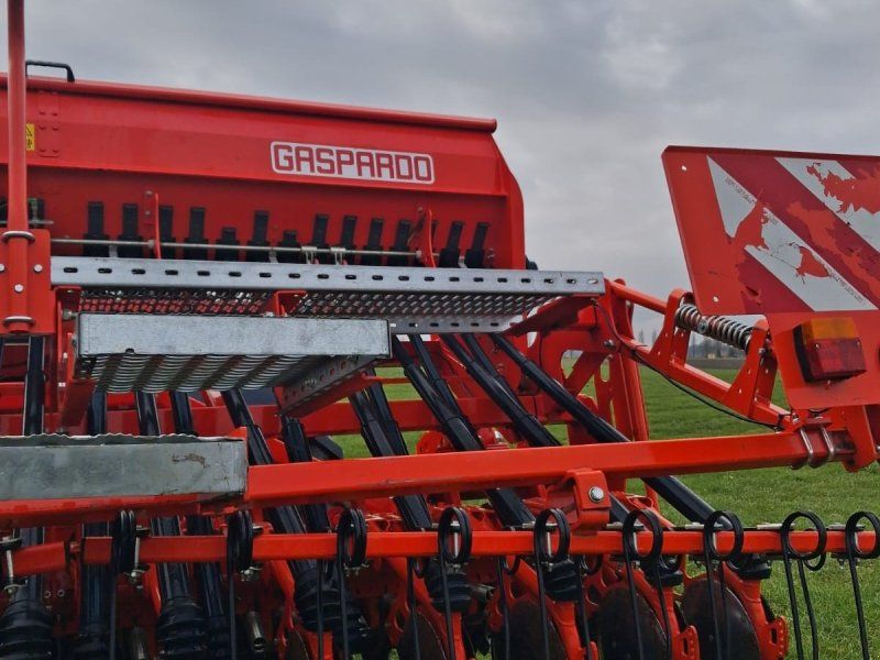 Maschio Dama 300
