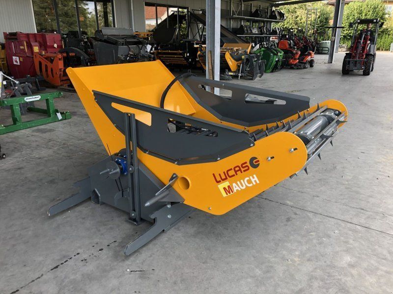 Lucas Castor UBI PIC Ballenabroller