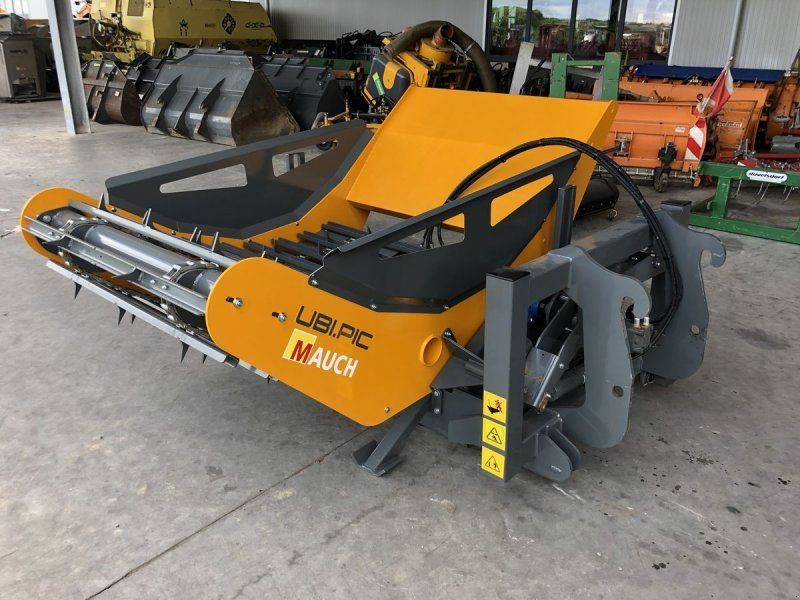 Lucas Castor UBI PIC Ballenabroller