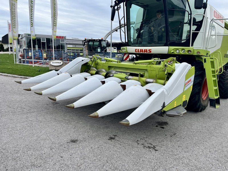Claas Conspeed 6-70 FC er Maispflücker