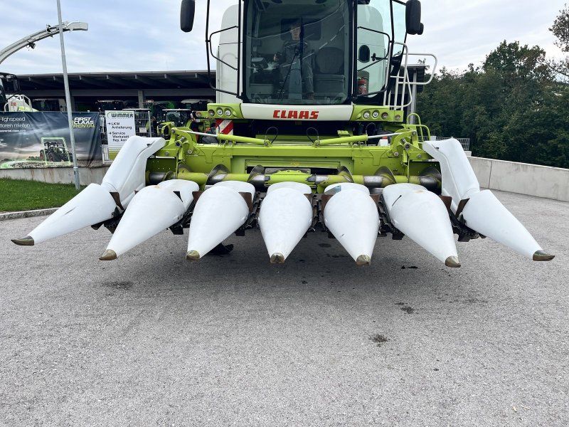 Claas Conspeed 6-70 FC er Maispflücker
