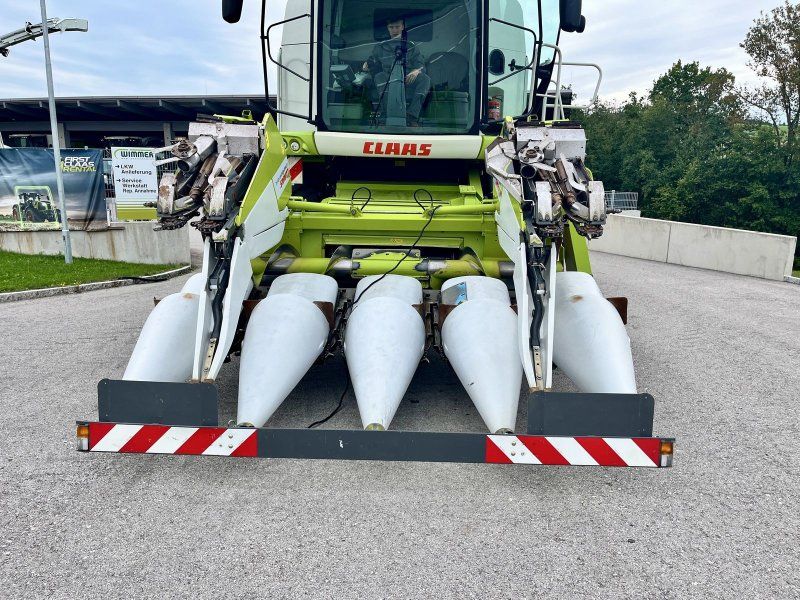 Claas Conspeed 6-70 FC er Maispflücker