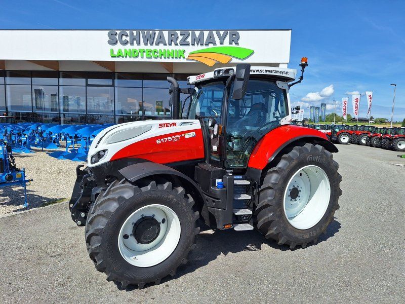 Steyr 6175 Impuls CVT