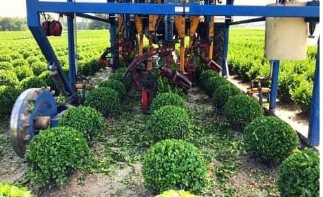 Lommers Rond Snoeimachine & Fiat 80-66 & Kluitensteekmachine