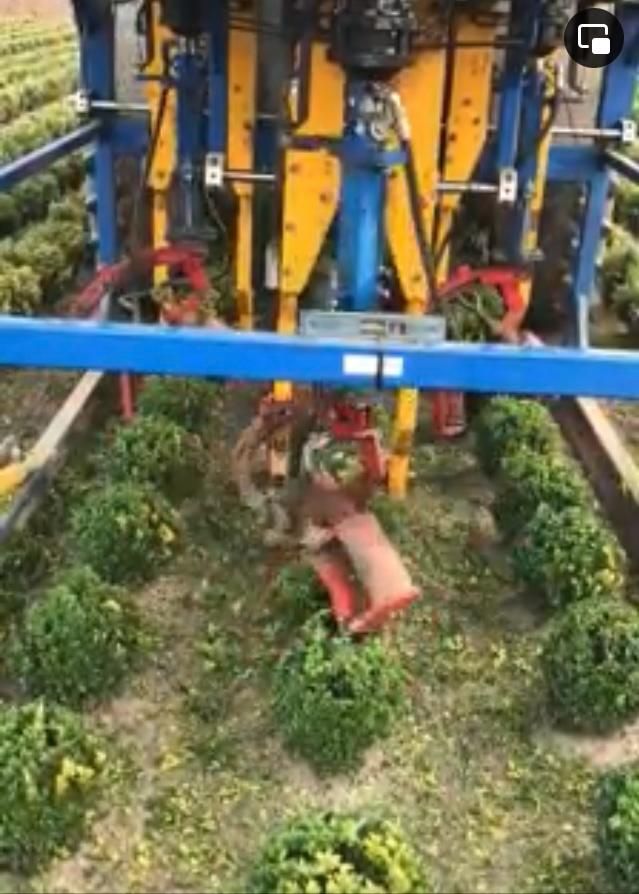 Lommers Rond Snoeimachine & Fiat 80-66 & Kluitensteekmachine