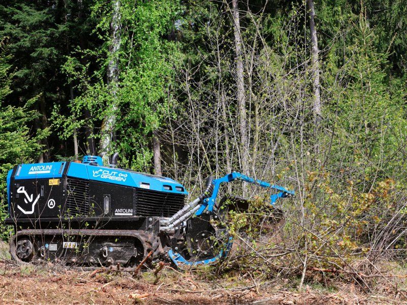 Reil & Eichinger Funkgesteuerte Raupe cutgreen 60