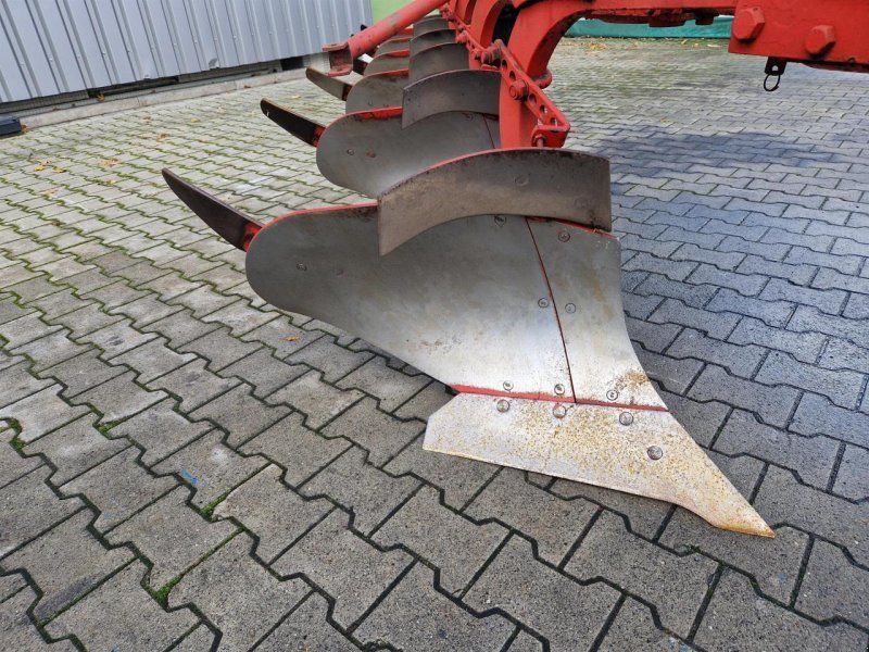 Niemeyer 6-Schar Beet