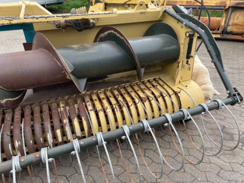 Champion-Denmark GE35