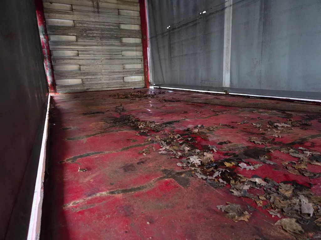 Pacton 2 as middenas