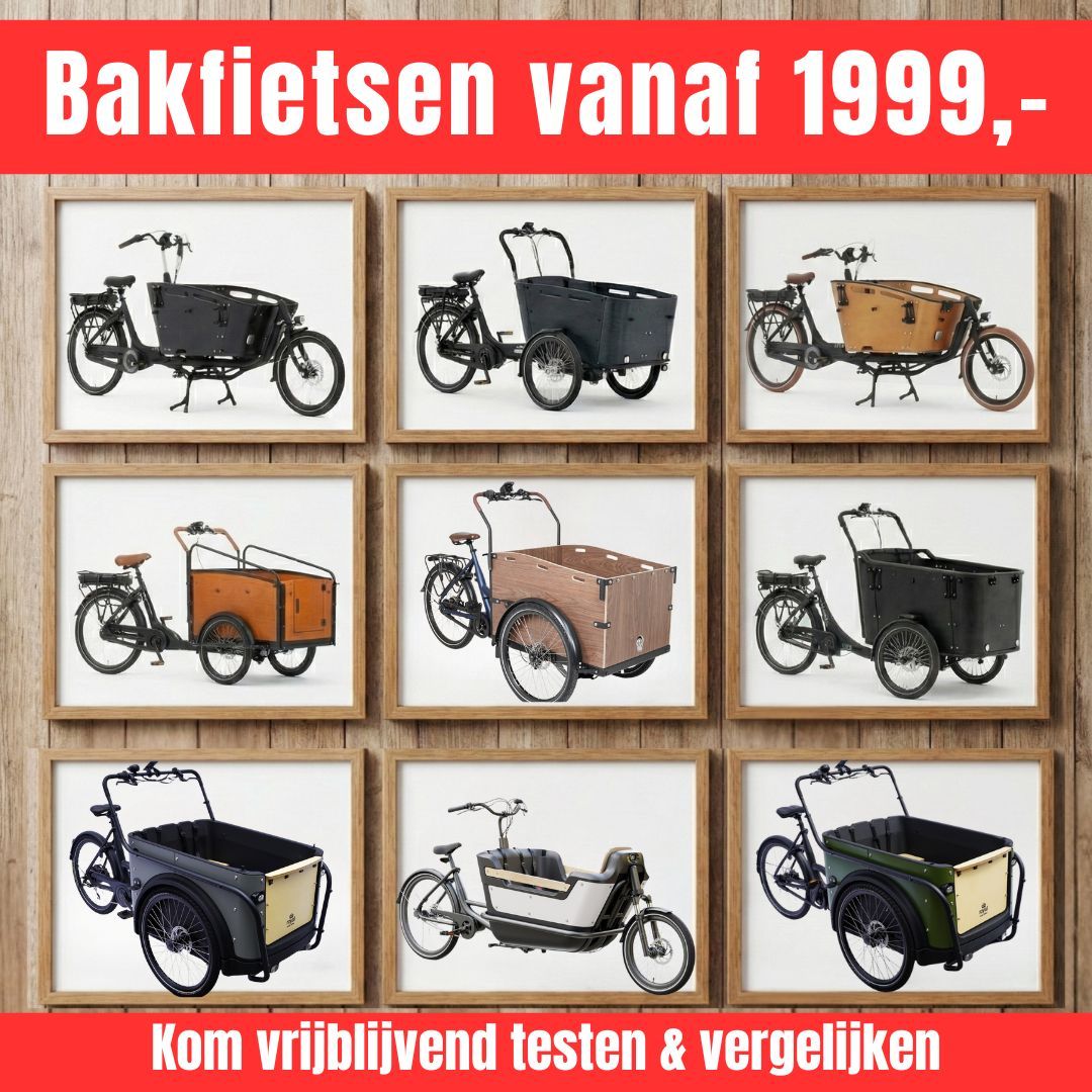 Betaalbare elektrische bakfiets & bakfietsen voor gezinnen