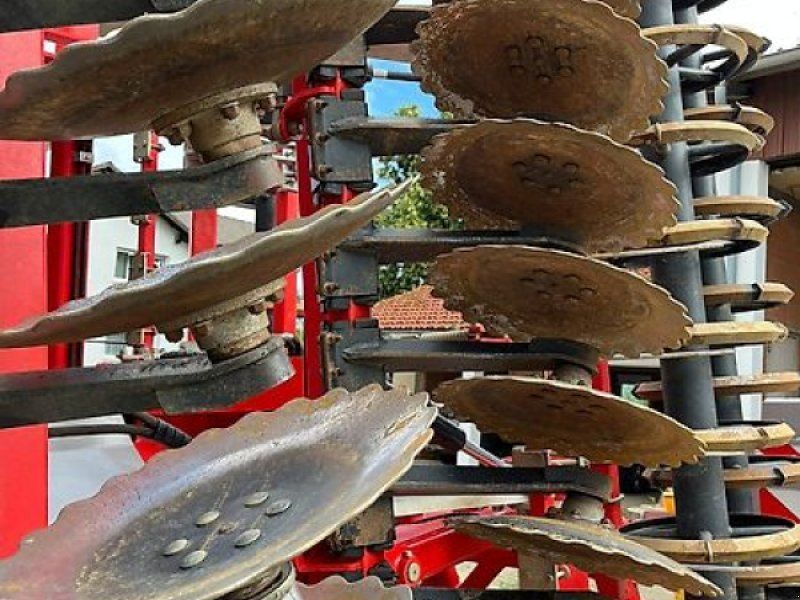 Premium Ltd Giant 500/5 m/Kurz