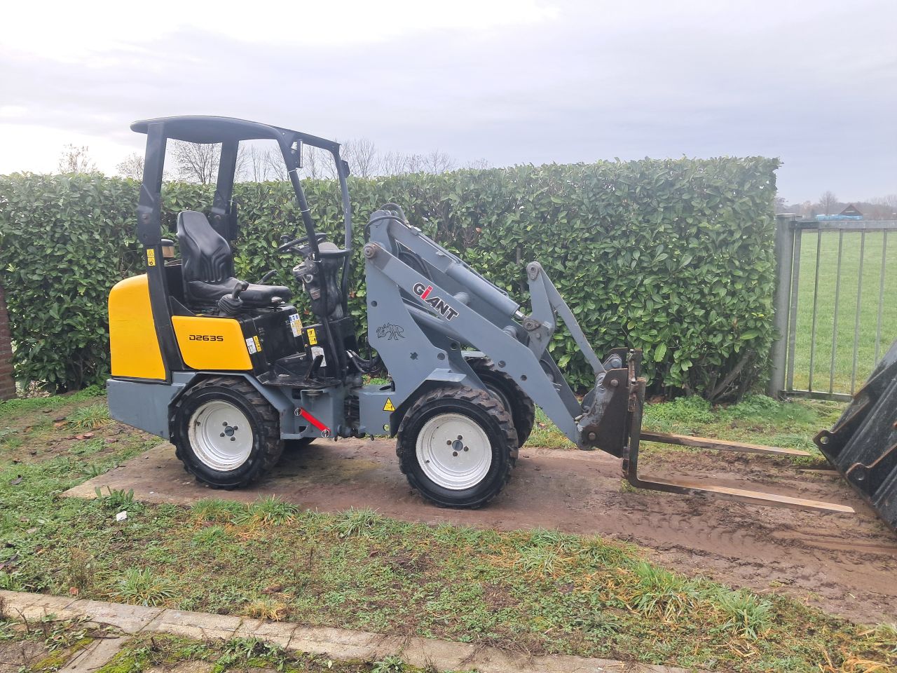 Giant D 263 S mini loader / Kubota / Mini shovel / Bak en pallet