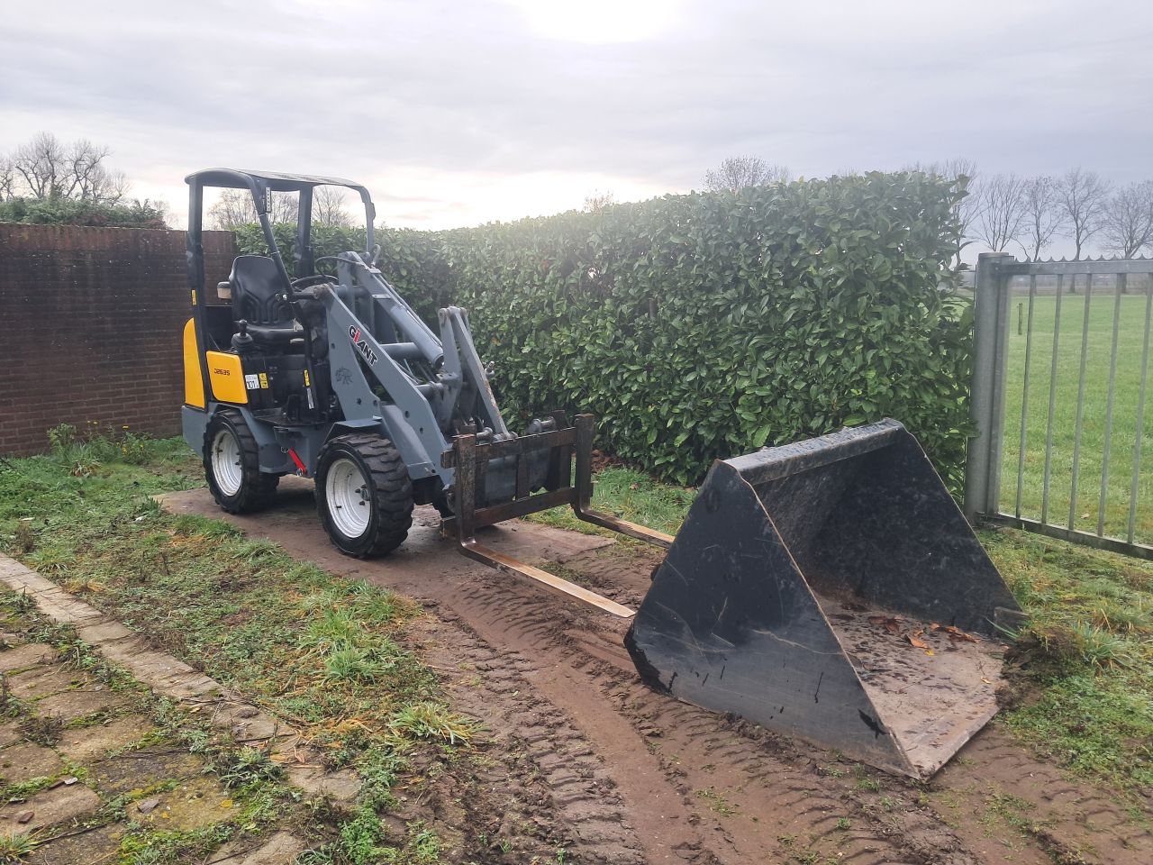 Giant D 263 S mini loader / Kubota / Mini shovel / Bak en pallet