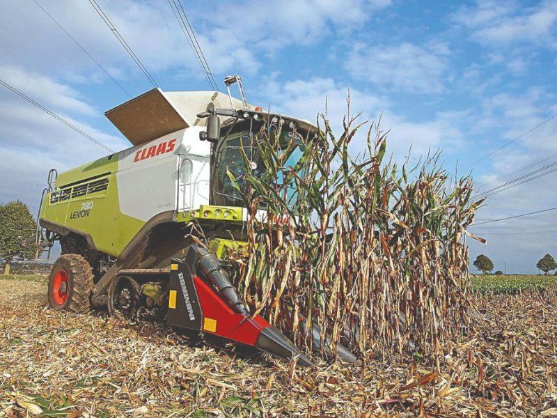 Dominoni 8 RANGS REPLIABLE BROYEUR 80cm