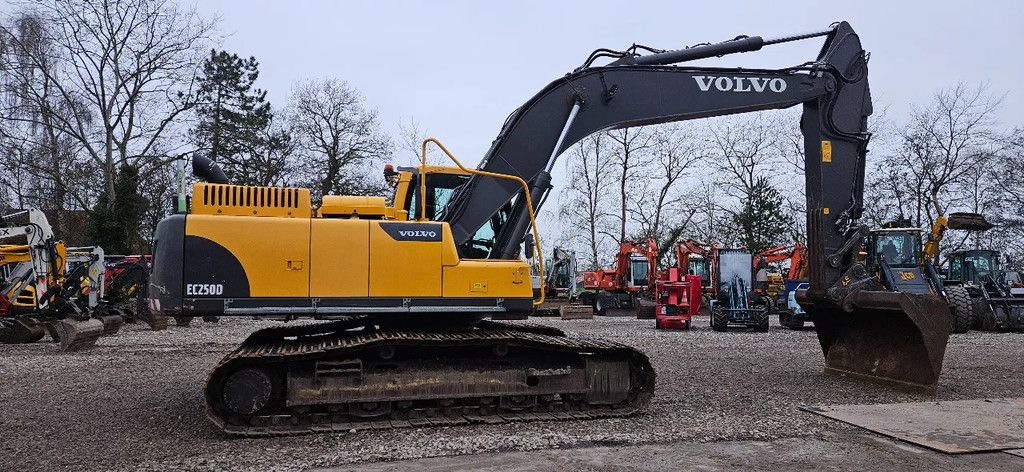 Volvo EC250 DL