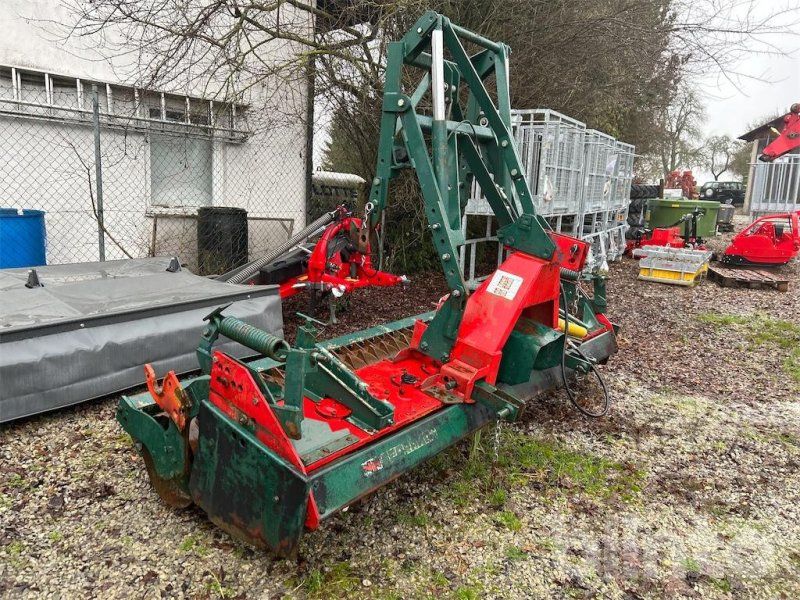 Feuer-Vogel Terramat