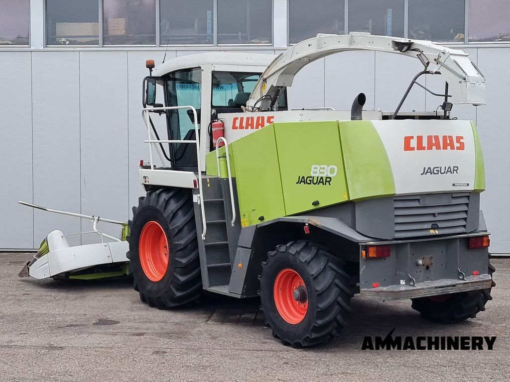 Claas Jaguar 830