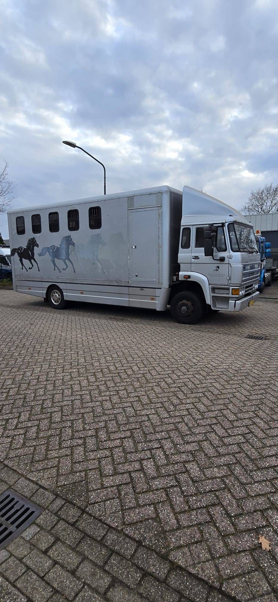 Horse trailer DAF AE64NT Diesel 158 hp 1990