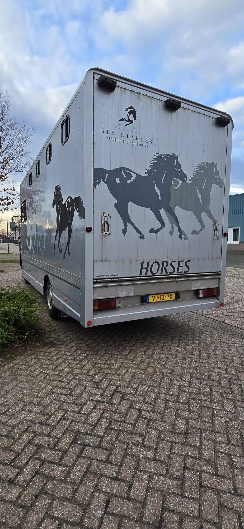 Horse trailer DAF AE64NT Diesel 158 hp 1990