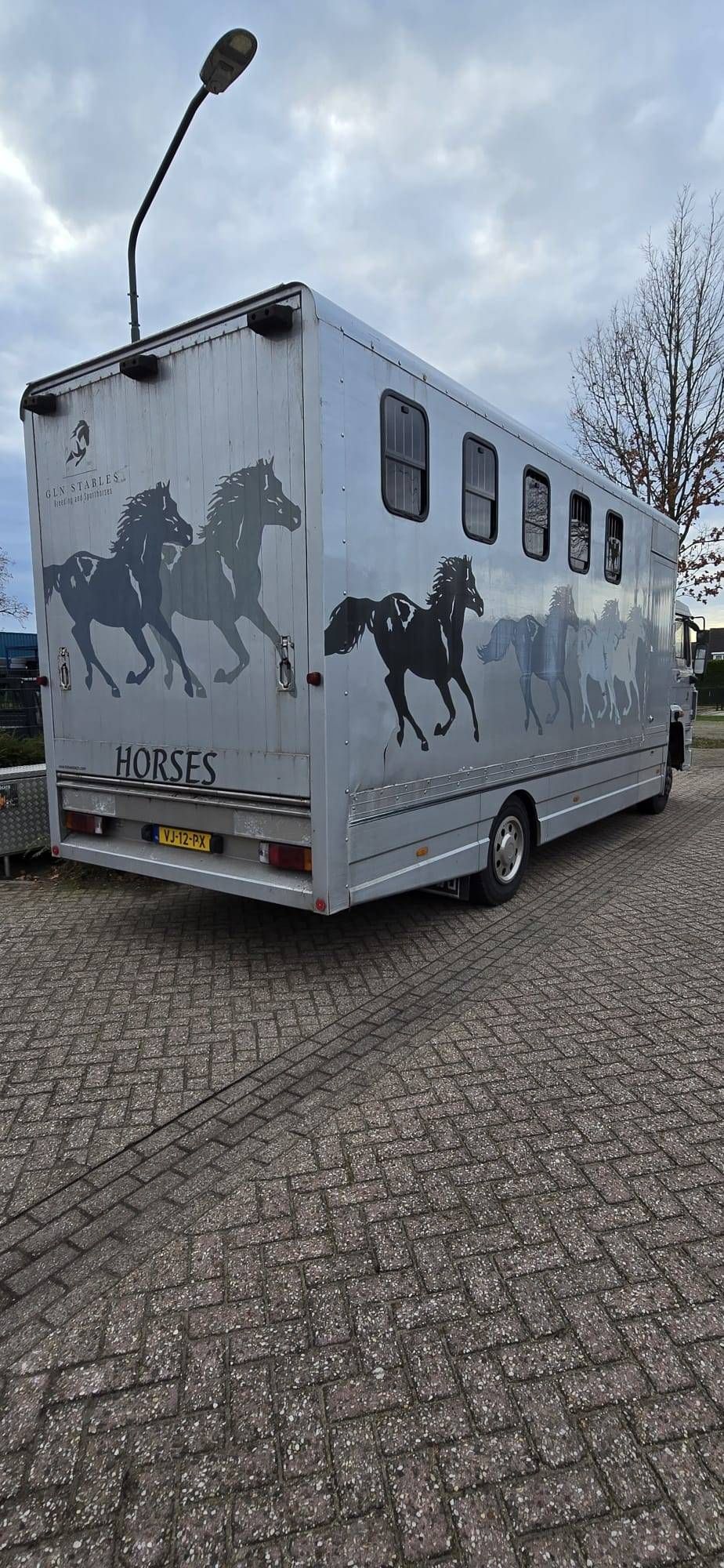 Horse trailer DAF AE64NT Diesel 158 hp 1990