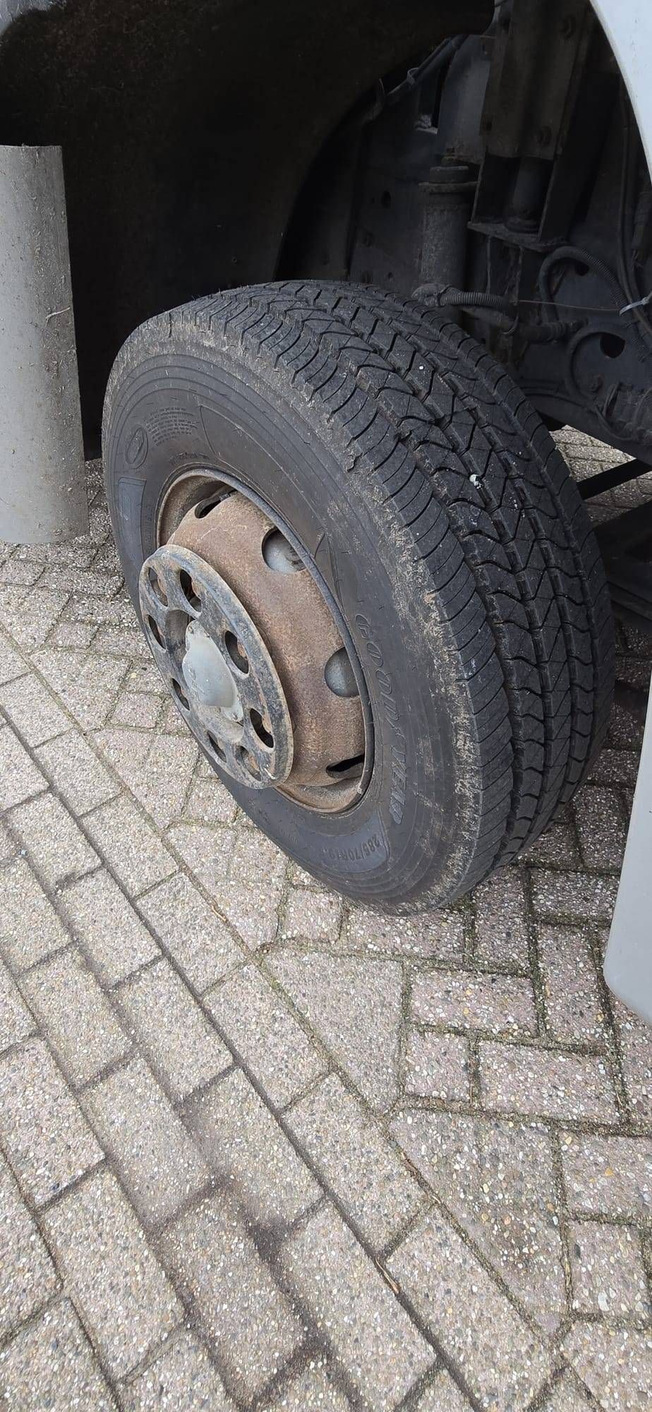 Horse trailer DAF AE64NT Diesel 158 hp 1990