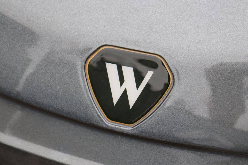 Golfwagen Wallonie GD6-Z2 Elektro 48V 2022 Demo