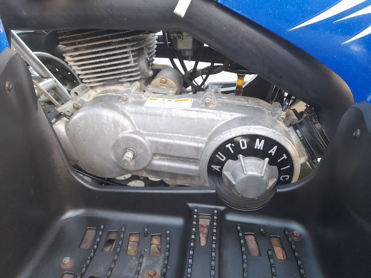 Polaris Phoenix quad met kenteken