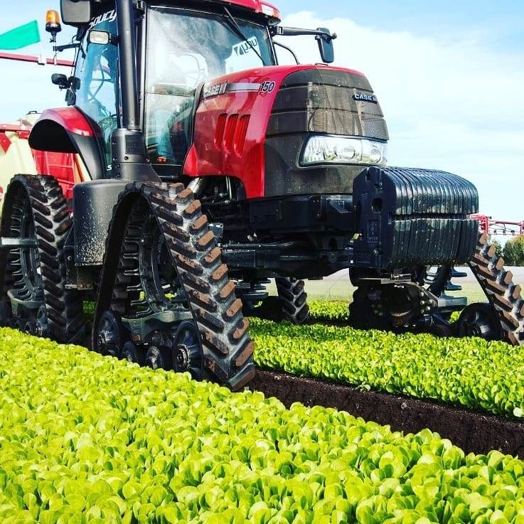 Poluzzi Rubbertracks