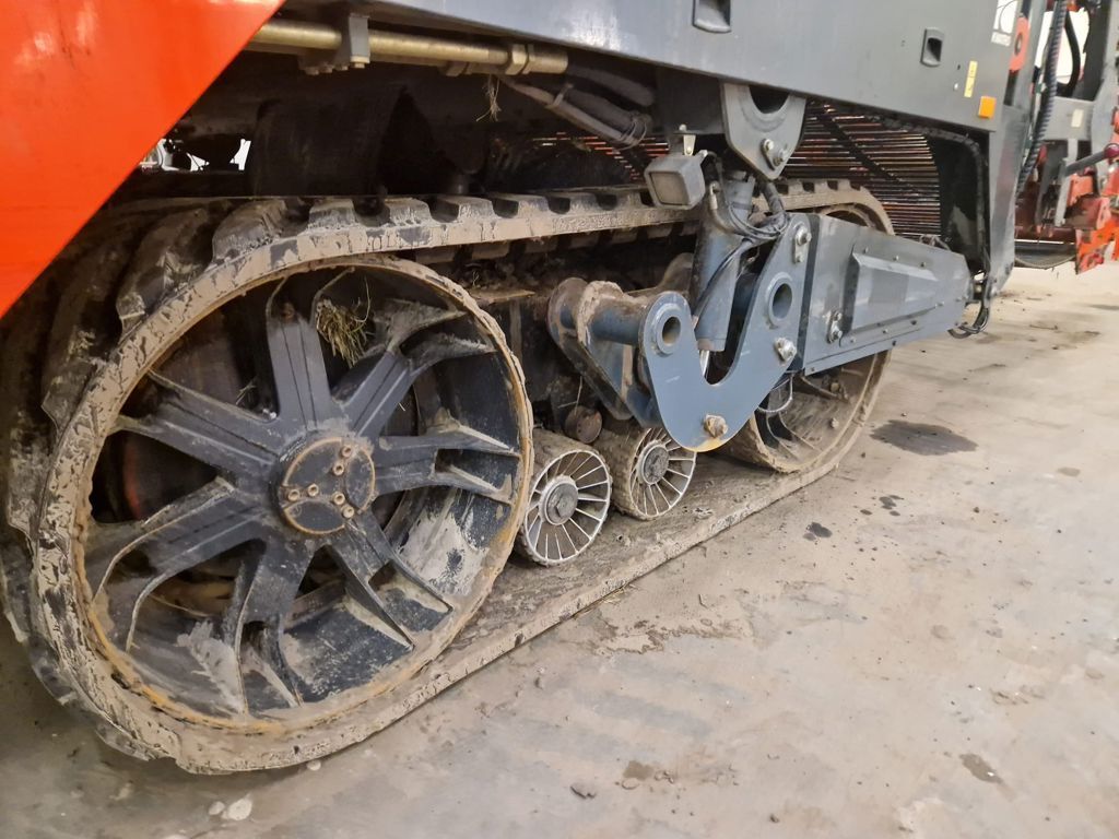 Dewulf Dewulf Kwatro 2014