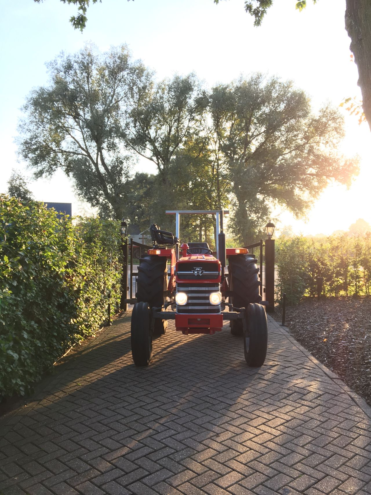 Massey Ferguson 135