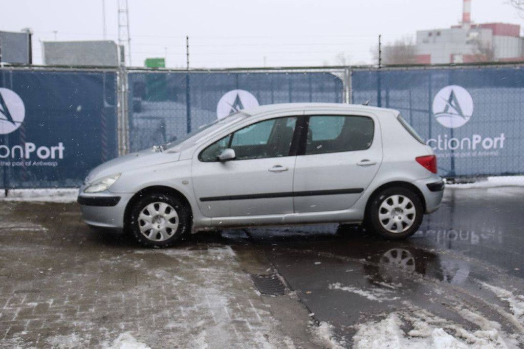 Passenger car Peugeot 307 Petrol 110 hp 2004 (Margin)