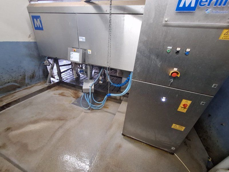 Lemmer Fullwood Merlin