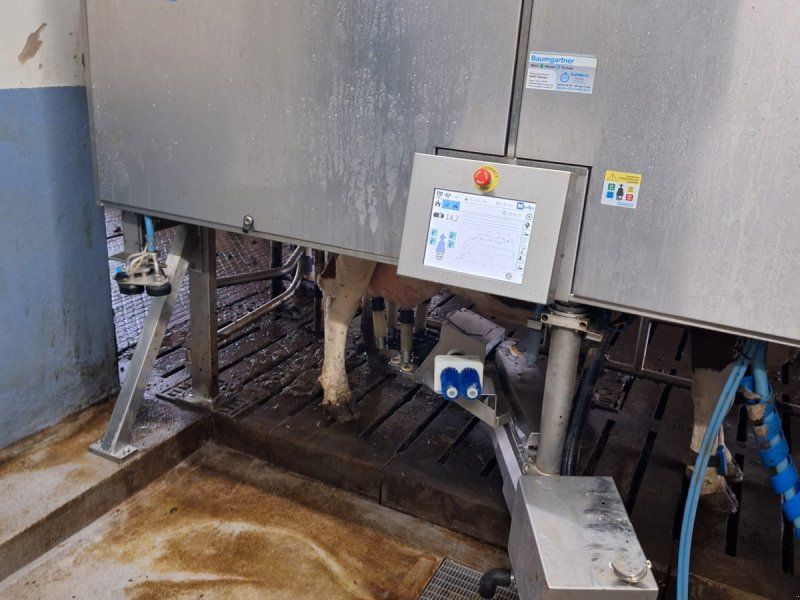 Lemmer Fullwood Merlin