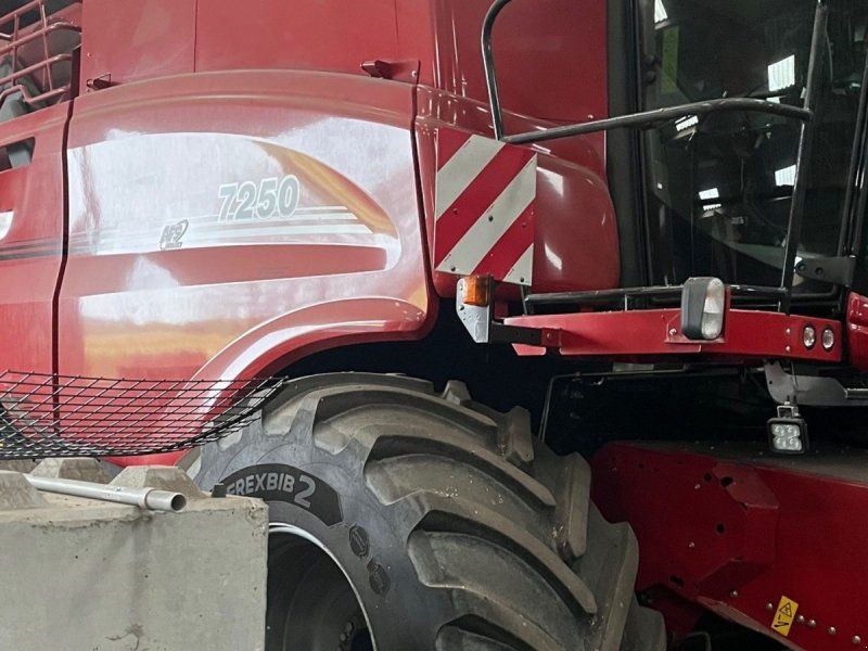 Case IH Axial Flow 7250 M. skærebord