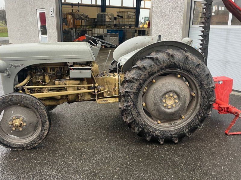 Massey Ferguson 31