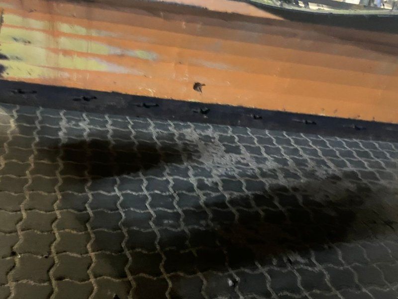 Epoke Sneplov/dozerblad Sneskraber 250cm