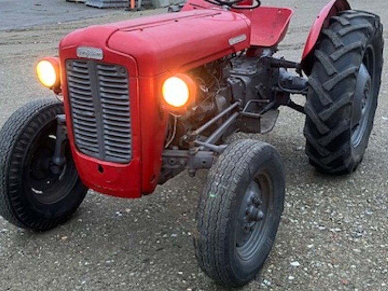 Massey Ferguson GuldFugel
