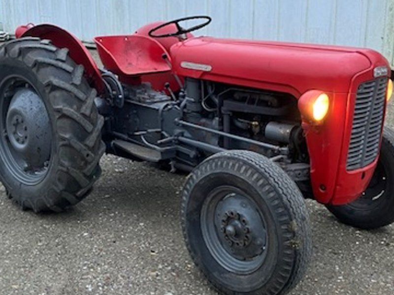 Massey Ferguson GuldFugel