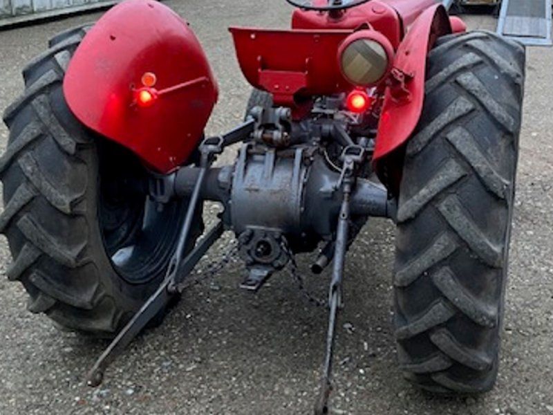 Massey Ferguson GuldFugel
