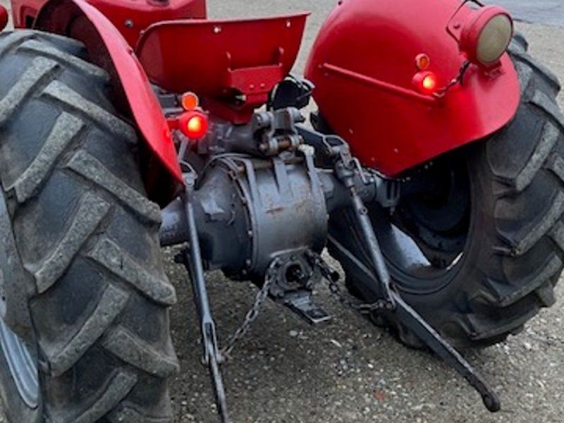 Massey Ferguson GuldFugel