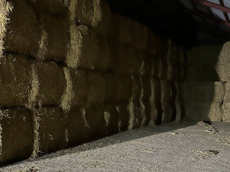 Fendt Købes til eksport