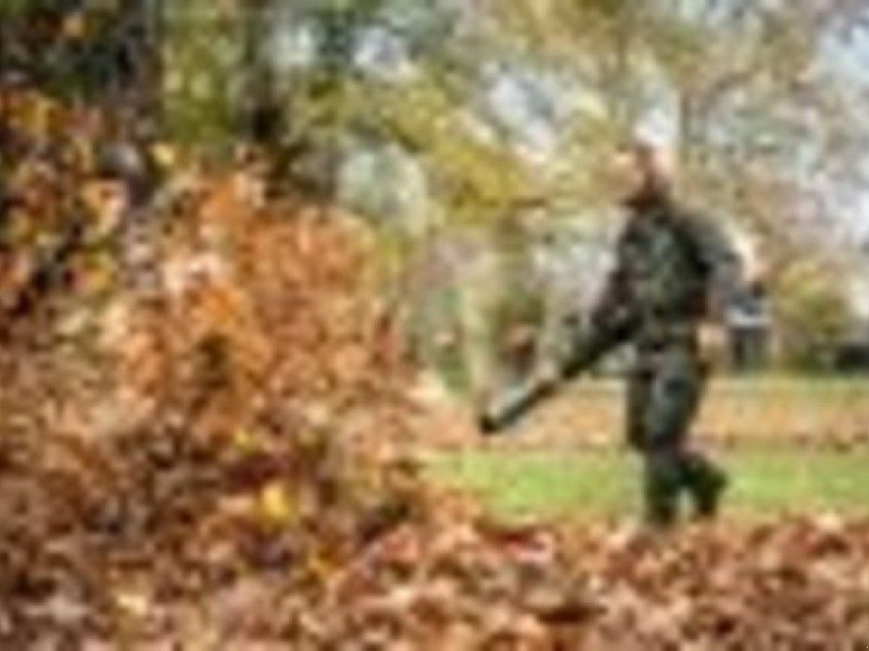 Stihl BLASGERÄT BR800 C-E