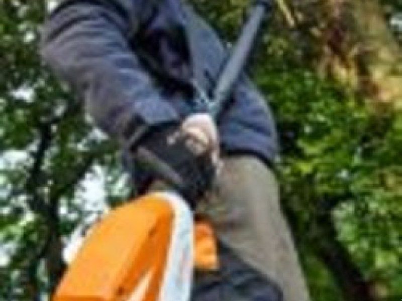 Stihl AKKU HOCHENTASTER HTA160