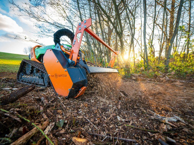 TMC Cancela TLE-125 Forstmulcher /Forstmulchkf für Forstraupe /Funkraupe