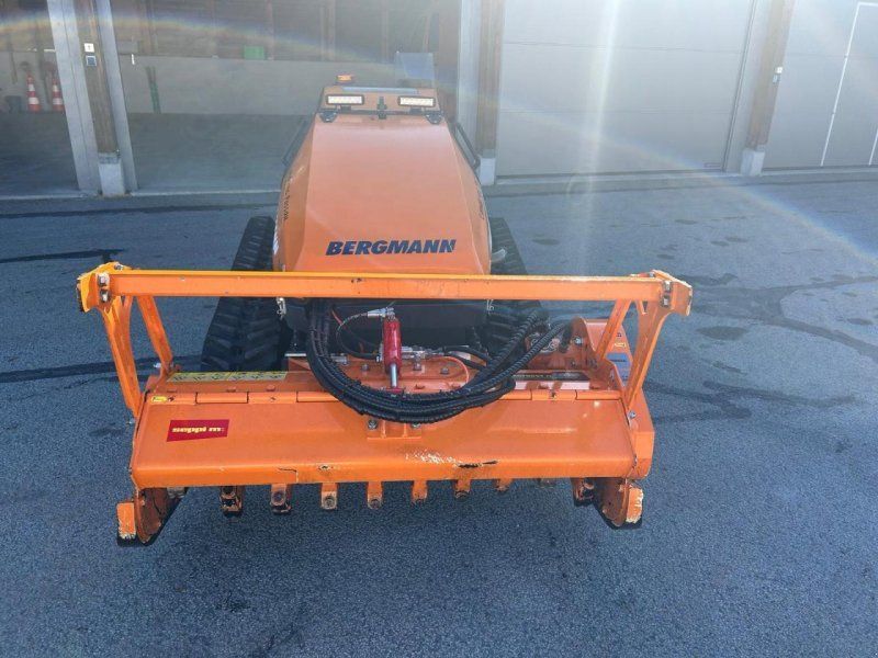 Bergmann Mähraupe M 201 mit Zubehör